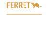 Frettchen