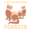 Ferret