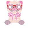 Ferret