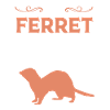 Ferret