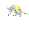 Ferret
