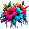 Fleurs d’hibiscus