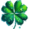 Four-leaf clover