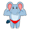 Elephant Bodybuilder Bodybuilding