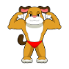 Chien Bodybuilder Musculation