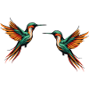 Bird Hummingbird2