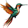 Oiseau Colibri