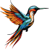 Bird Hummingbird Animal