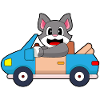 Cat Car