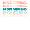 Rasenmäher Mähen