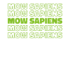 Lawn mower mowing