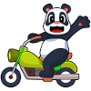 Moto Panda