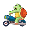 Turtle Motorcycle