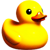 Duckling Duck Duck Duck