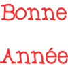 BONNE ANNEE. SAINT SYLVESTRE
