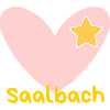 Saalbach - Alps - Salzburg - Skiing