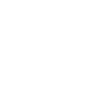 1971 1971