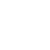 Welsh Terrier