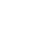 Boston Terrier