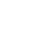 Field Spaniel