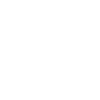 PAPA-TAXI in use