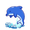 Dolphin - Birthday Child