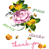 Thank you Grazie