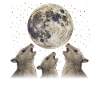 Chinchilla Pet Howling Moon