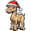 Noël à dos de chameau