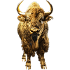 Bison