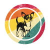 Chihuahua Mom