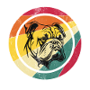 Bouledogue français