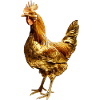 Poulet