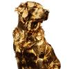 Chien
