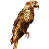 Parrot