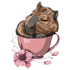 Capybara