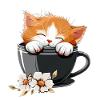Katze