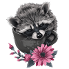 Raccoon