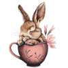 Rabbit