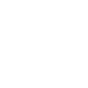 Raccoon Cowboy