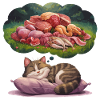 Rêve de chat