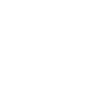 Raccoon Cowboy