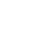 Raccoon Sunglasses