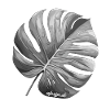 Monstera-Blatt Fensterblatt Design AlpSign.de