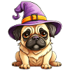 Witch Hat Halloween Pug