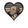 L’amour du Labrador