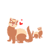 Ferret