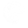 Ferret