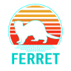 Ferret