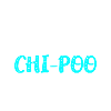 Chi-Poo